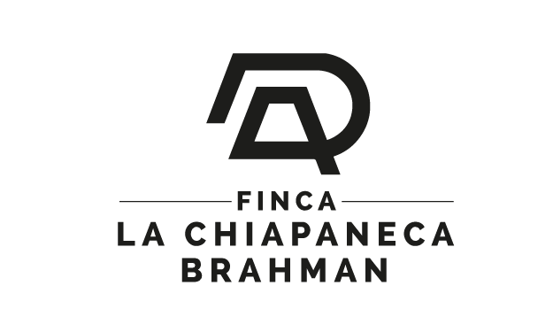 Patrocinadores_olmeca-12