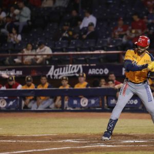 SAVE_20241104_084645 2